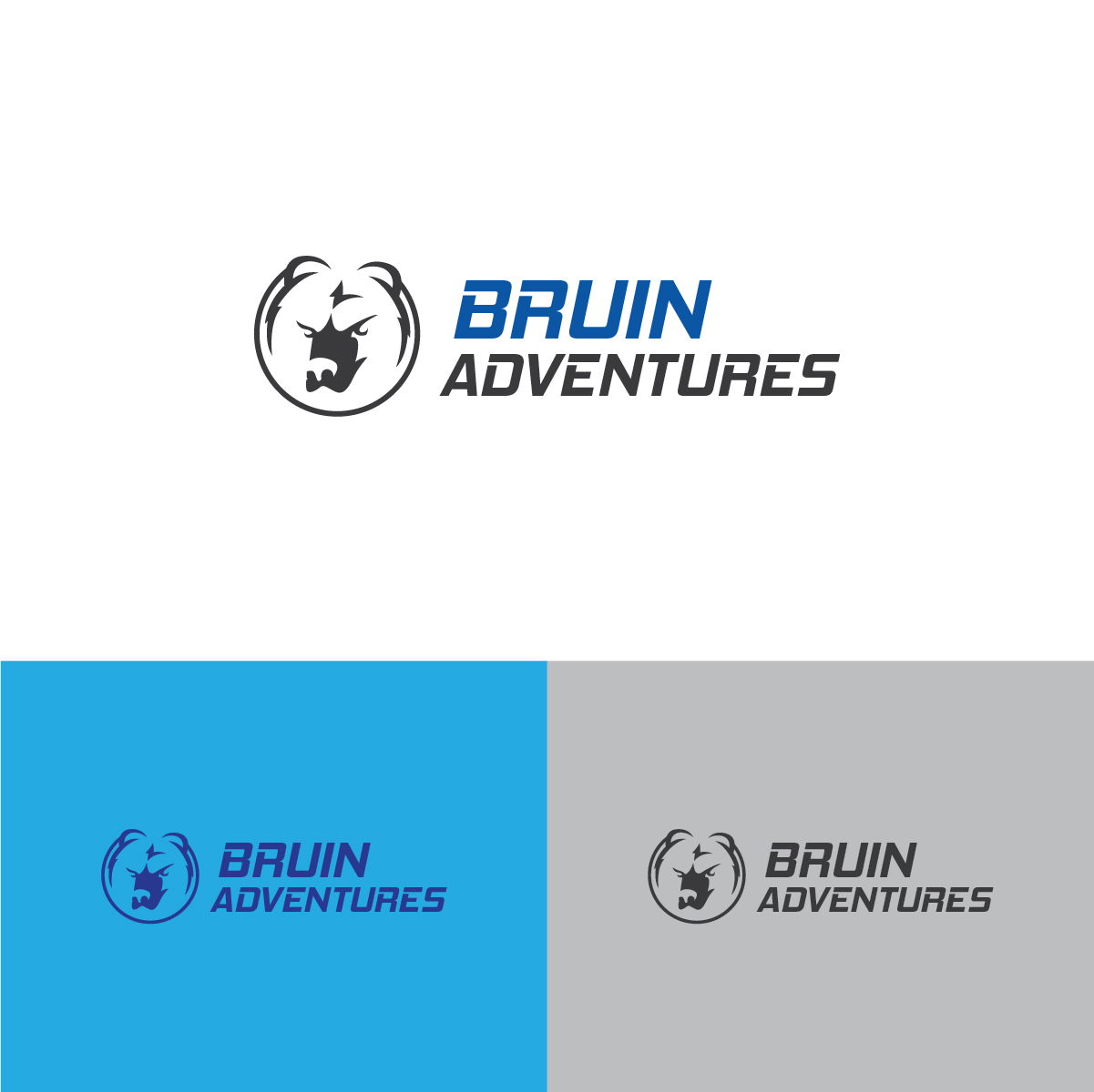 Logo Design by Deziners Zone for Bruin Adventures  | Design #18934878