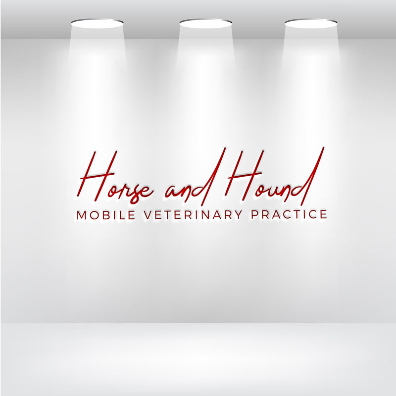 Logo Design by Malkuchulu for this project | Design #18930941