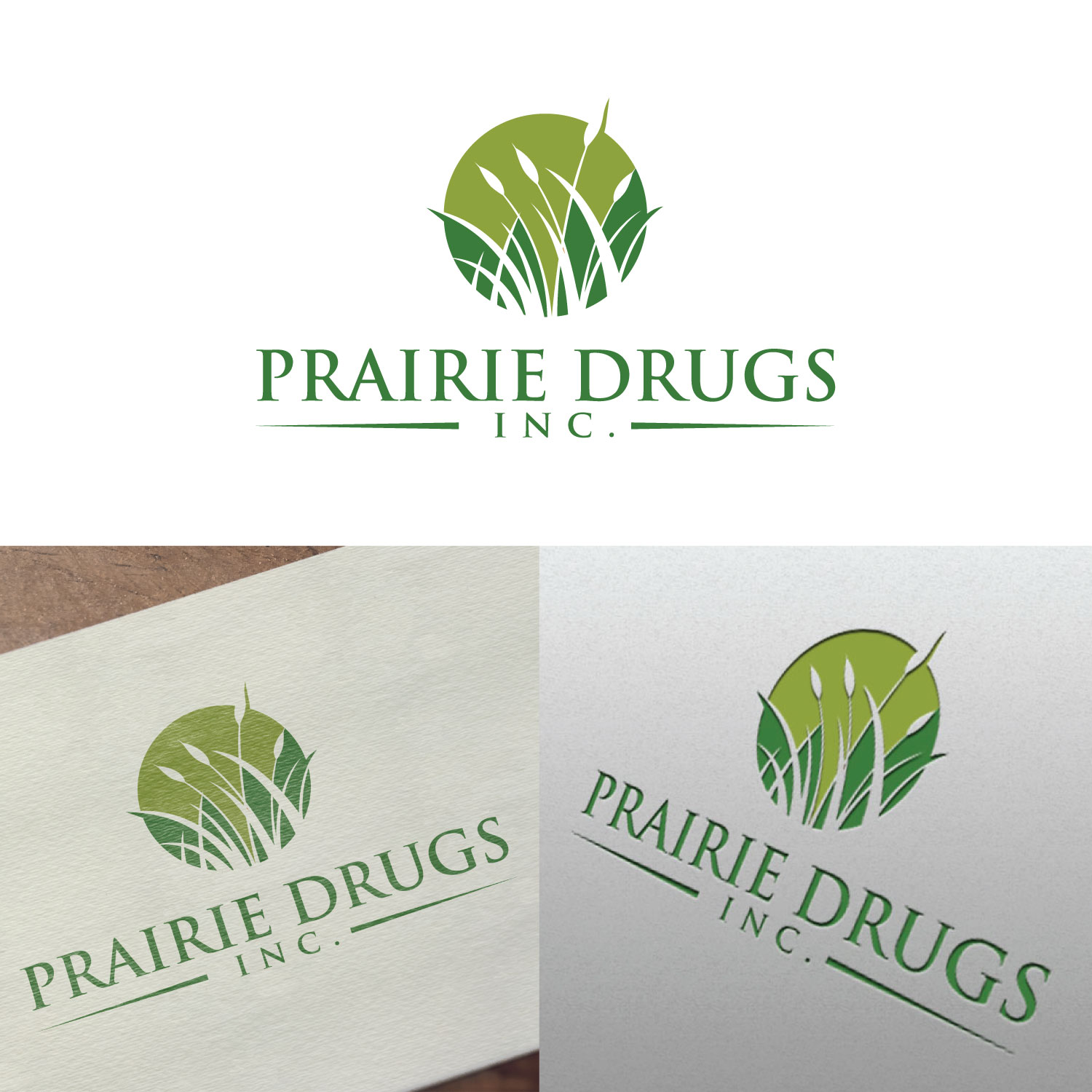 Design de Logo par artpaul pour Sherbrook Professional Centre | Design #22008286