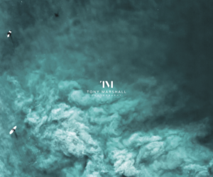 Logo Design by Vetroff for Tony Marshall Photography | Design: #18939297