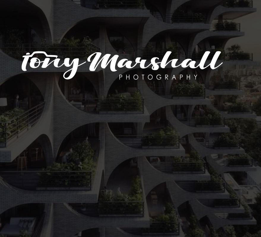 Logo Design by quantumwebtech for Tony Marshall Photography | Design #18927941