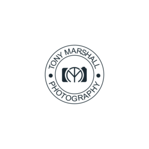Logo Design by MichaelStywar23