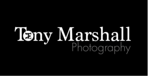 Logo Design by ilovechocolate