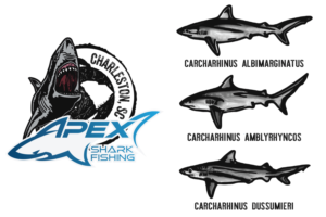 Apex Shark Fishing - T-shirt Design | T-shirt Design by gekgrfx