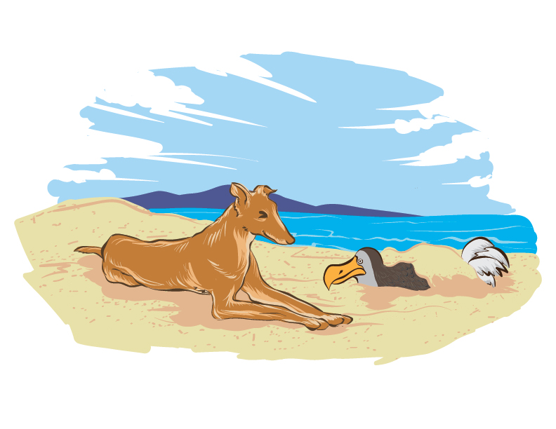 Illustration Design by Zhor Signatures for this project | Design #18952169