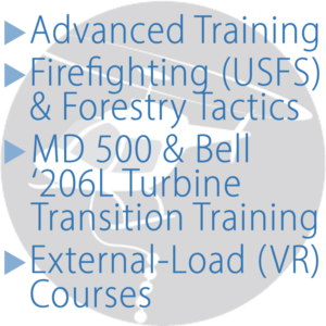 Banner Ad Design by seri89it for Heli Aviation Florida, LLC | Design: #18940897