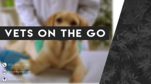 Logo Design by RiyanS for this project | Design: #18956092