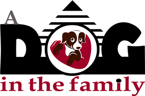 Logo Design by rekhaganeshacharya