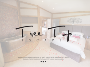 Design de Logo par carabuenaeffect pour ce projet | Design : #18947691