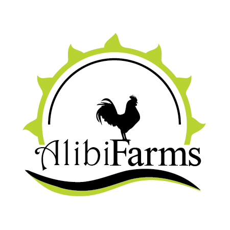 Logo Design by heavenlyblade720 for this project | Design #18970205