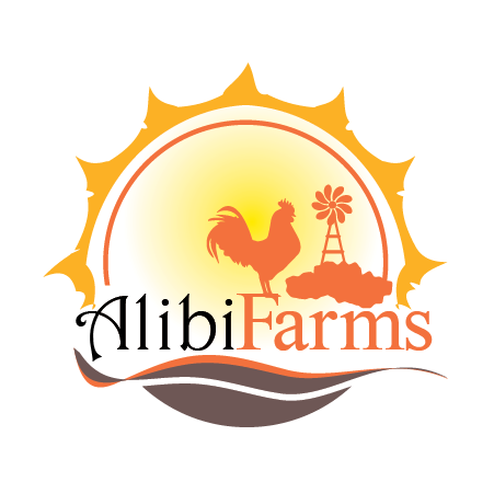 Logo Design by heavenlyblade720 for this project | Design #18970206