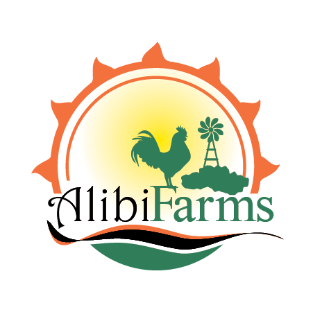 Logo Design by heavenlyblade720 for this project | Design #18970208