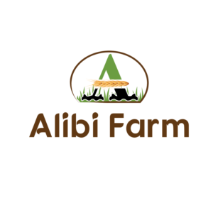 Design de Logo par Ezgi Kilavuz pour ce projet | Design : #18959646