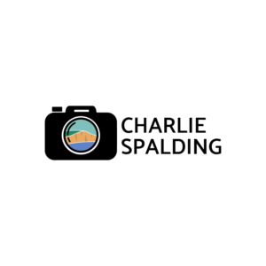 Logo Design by DANPAINEDESIGN for this project | Design: #18941954