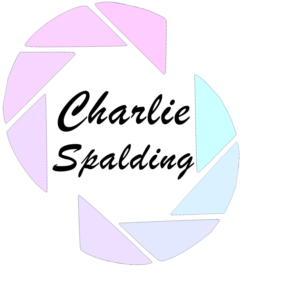 Logo Design by Dariush Zakeri