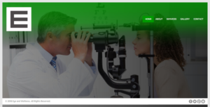 eye+wellness (including a logo lock-up version w/ 