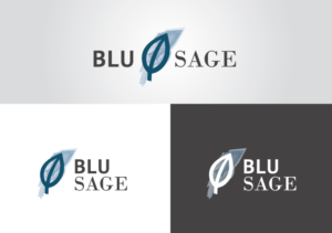 Logo Design by BlackBee