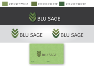 Logo Design by BlackBee for Blu Sage | Design: #18955949