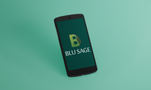 Logo Design by BlackBee for Blu Sage | Design: #18959198