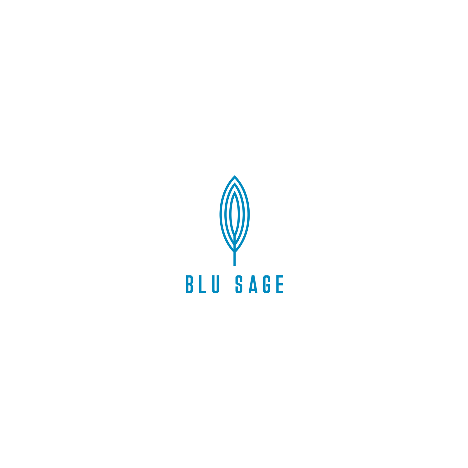 Logo Design by tavi for Blu Sage | Design #18951883