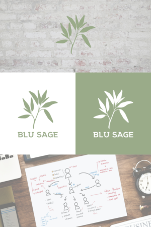 Logo Design by redthelogoguy for Blu Sage | Design: #18949899