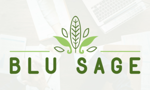 Blu Sage | Logo Design by TSU Creations