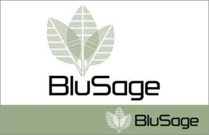 Logo Design by fespi for Blu Sage | Design: #18954624