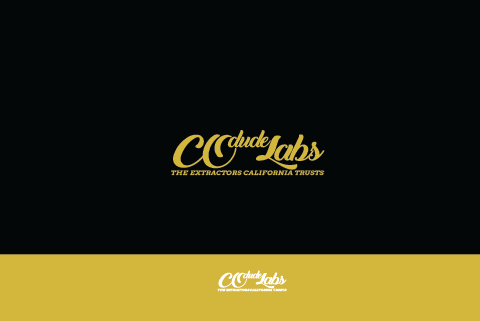 Design de Logo par iCONQUER pour ce projet | Design #18955437