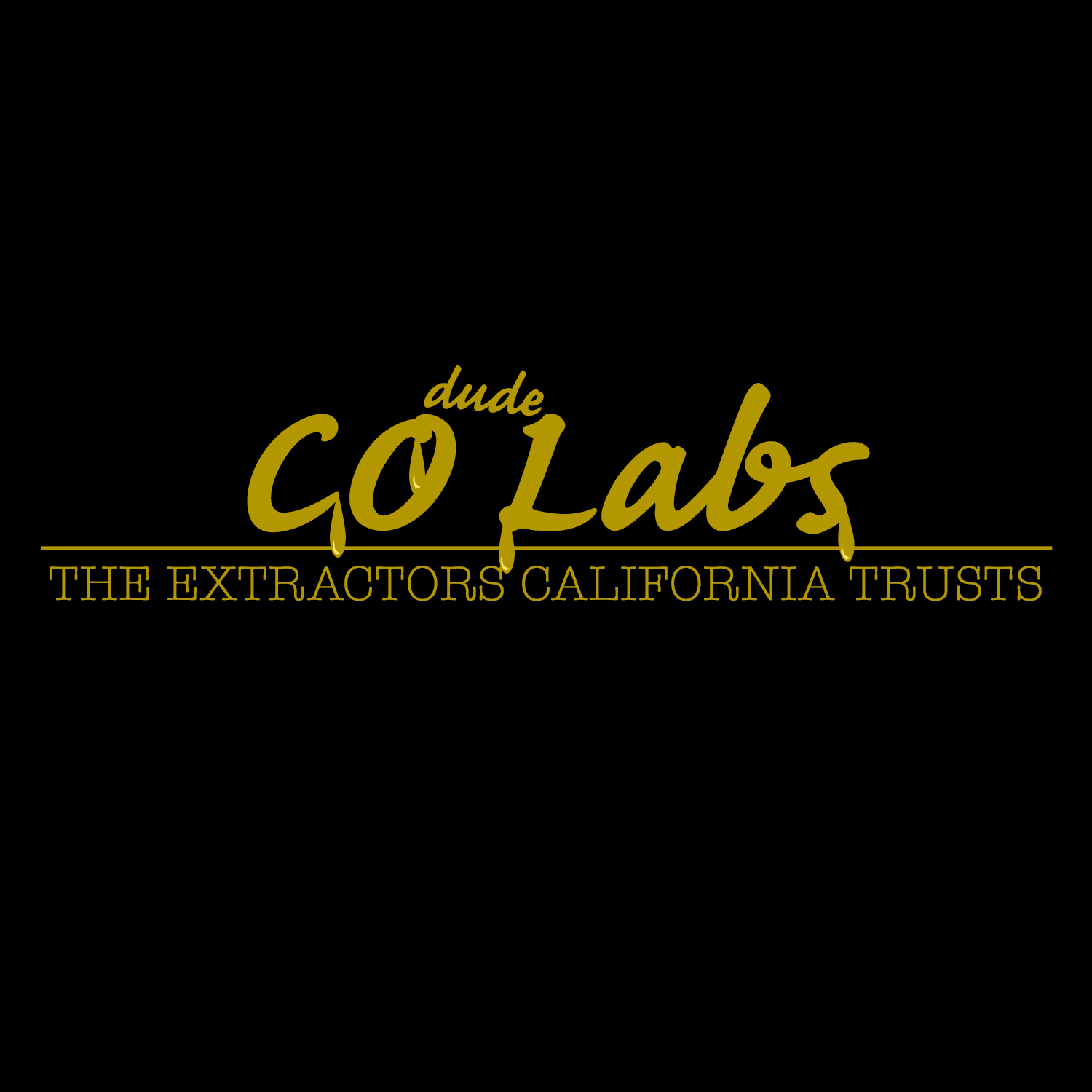 Logo-Design von seri89it für dieses Projekt | Design #18954522