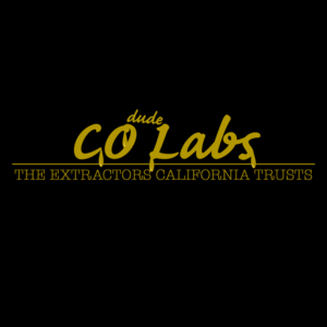Logo Design by seri89it