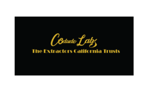 Logo Design by Mark Tmng