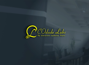Design de Logo par Nadia 5 pour ce projet | Design : #18968542
