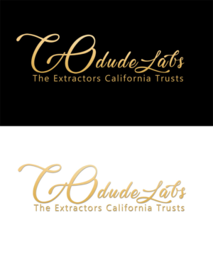 Logo Design by Melissa 11