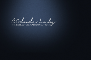 Design de Logo par Habibur 3 pour ce projet | Design : #18970443