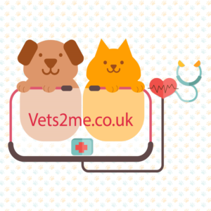 Logo Design by Lavinia