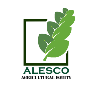 Logo Design by Nobu Dessin