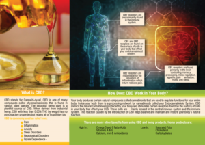 Diseño de Flyer por Black Stallions Impressive Solutions para Legacy Naturals | Diseño #19020253