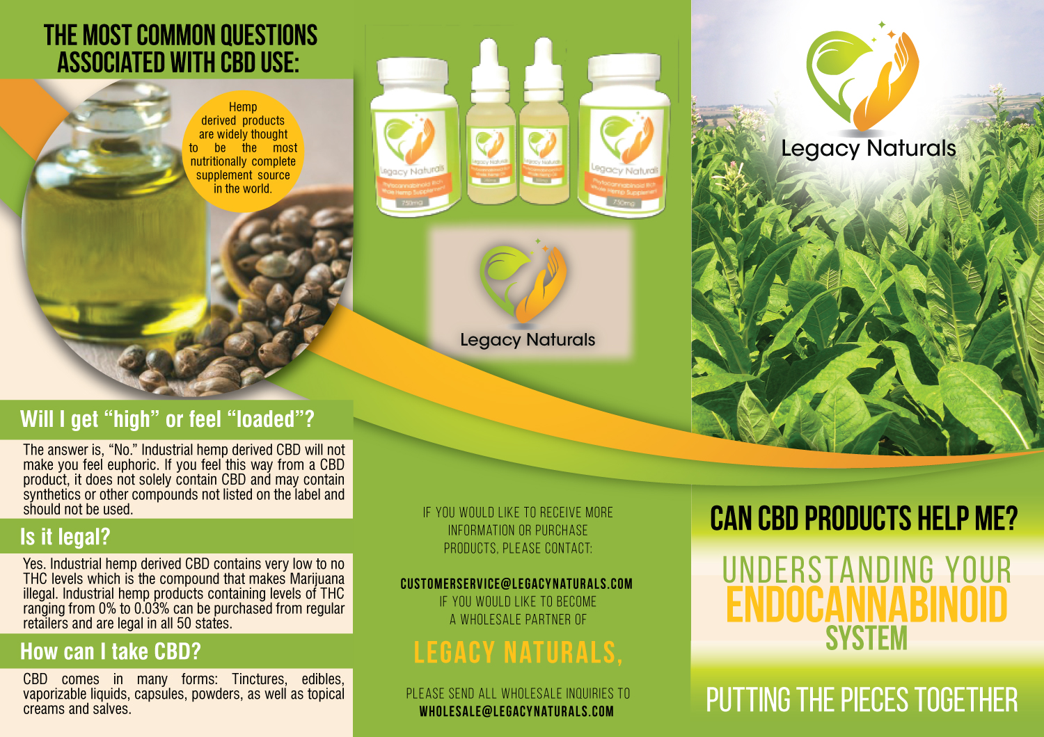 Diseño de Flyer por Impressive Solutions para Legacy Naturals | Diseño #19020254