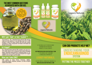 Flyer Design by Impressive Solutions for Legacy Naturals | Design: #19020254