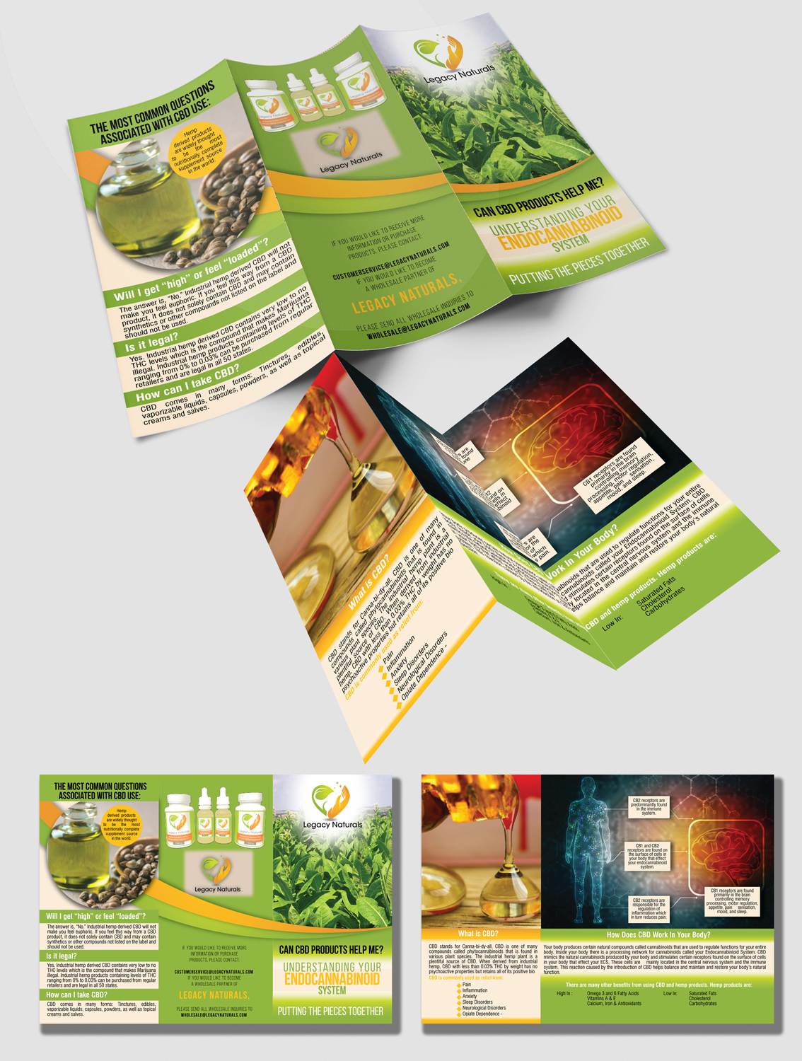 Diseño de Flyer por Impressive Solutions para Legacy Naturals | Diseño #19020255