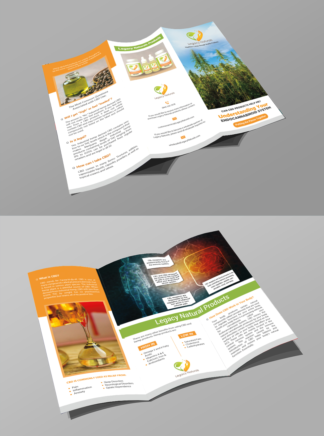 Diseño de Flyer por debdesign para Legacy Naturals | Diseño #19017930