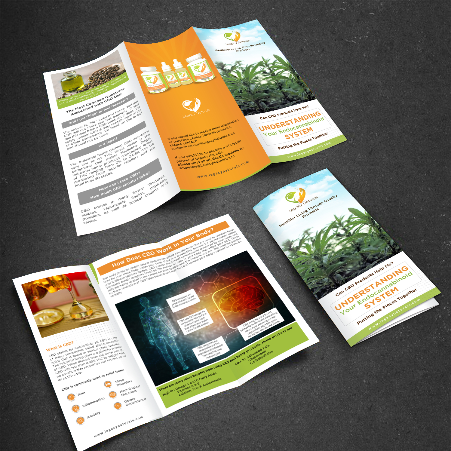 Flyer Design by debdesign for Legacy Naturals | Design #19018640