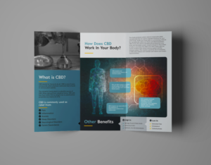 Redesign - Trifold Brochure - Adding new and fresh look. | Diseño de Flyer por Daniel James