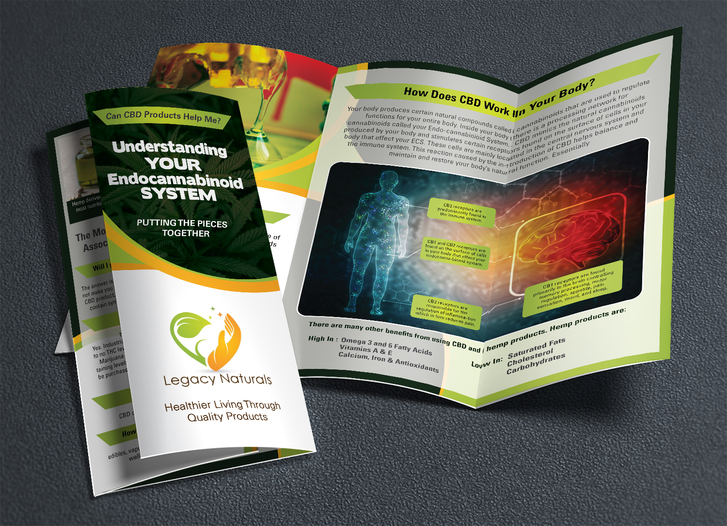 Flyer Design by Deziners Zone for Legacy Naturals | Design #19018768
