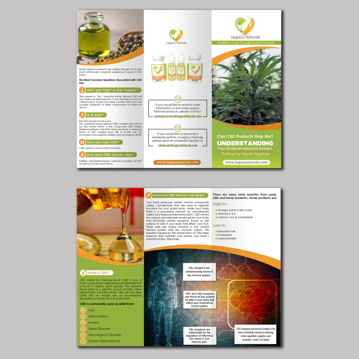 Diseño de Flyer por aspiremedia para Legacy Naturals | Diseño #19021982