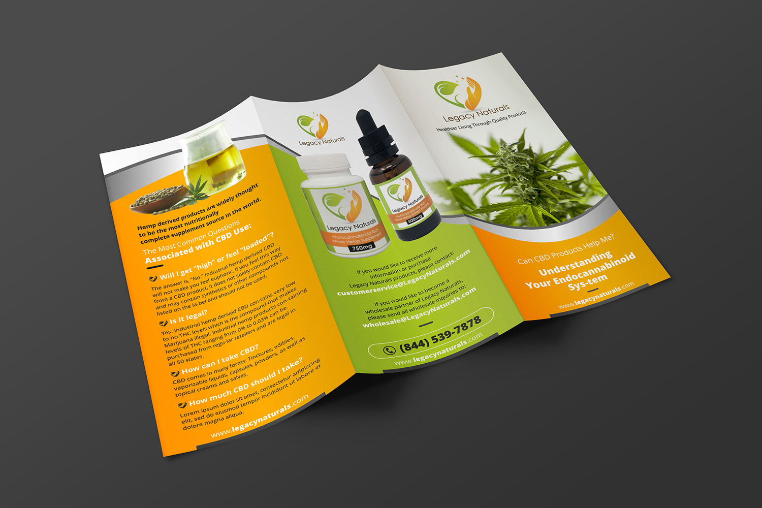 Flyer Design by ecorokerz for Legacy Naturals | Design #19017947