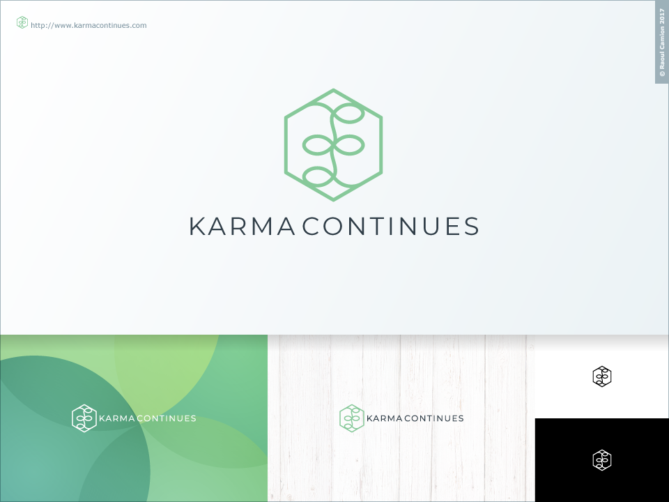 Logo Design by Raoul Camion for this project | Design #18966605