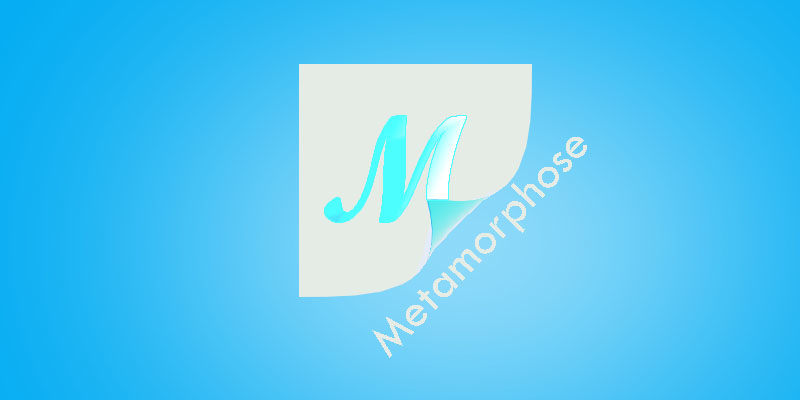 Logo Design by Lion Creations for this project | Design #685021