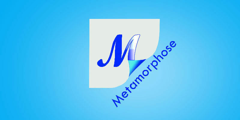 Logo Design by Lion Creations for this project | Design #687095