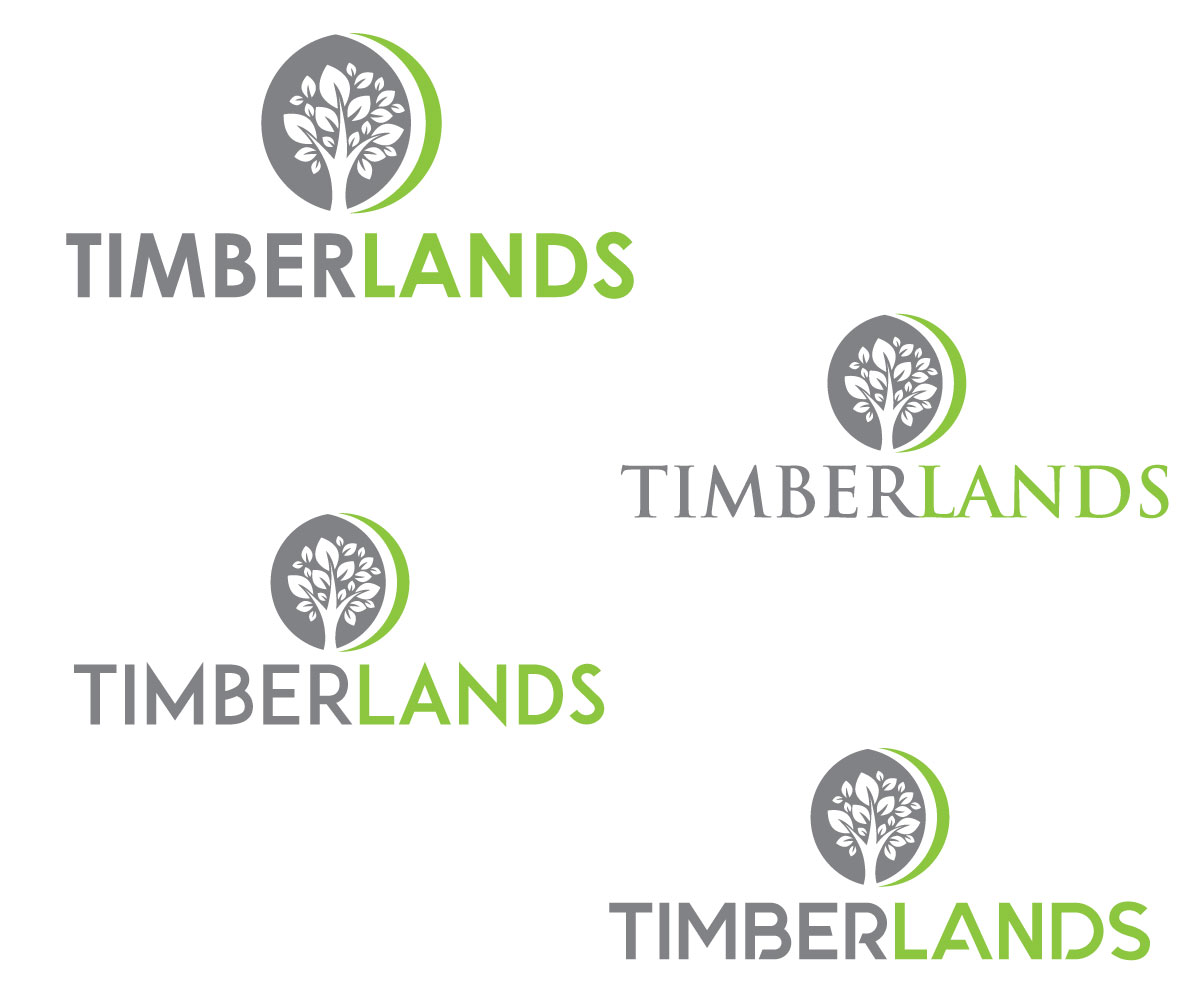 Logo Design by designmind78 for FD Stonewater | Design #19039993